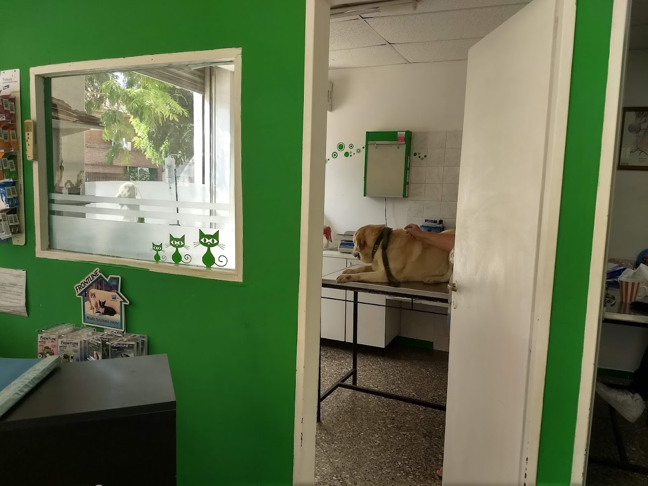 Interior del consultorio de Veterinaria Tamara Mónaco